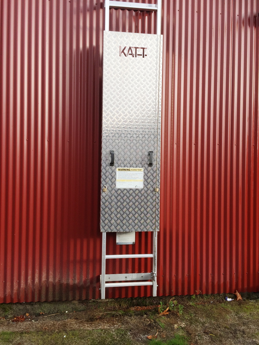 Vertical ladder security cover